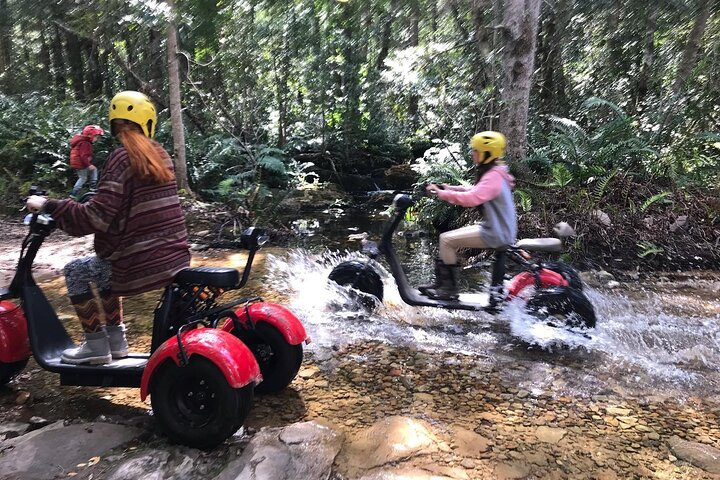 Scooter Tours through Tsitsikamma National Park - Photo 1 of 12